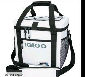 Igloo marine 32qt