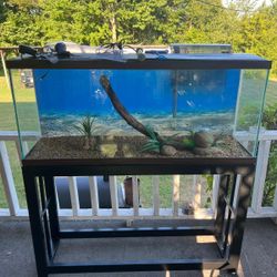 55 gallon fish tank and stand