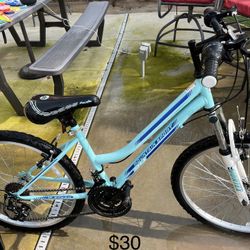 Bike And Pool Vacuum 