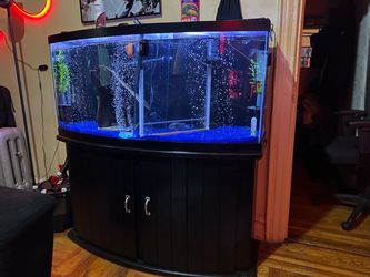 90 gallon bow front fish tank and stand with light and covers trade or sale for a 125 gallon fish tank