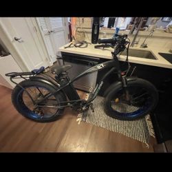 ECOTRIC Electric Bike