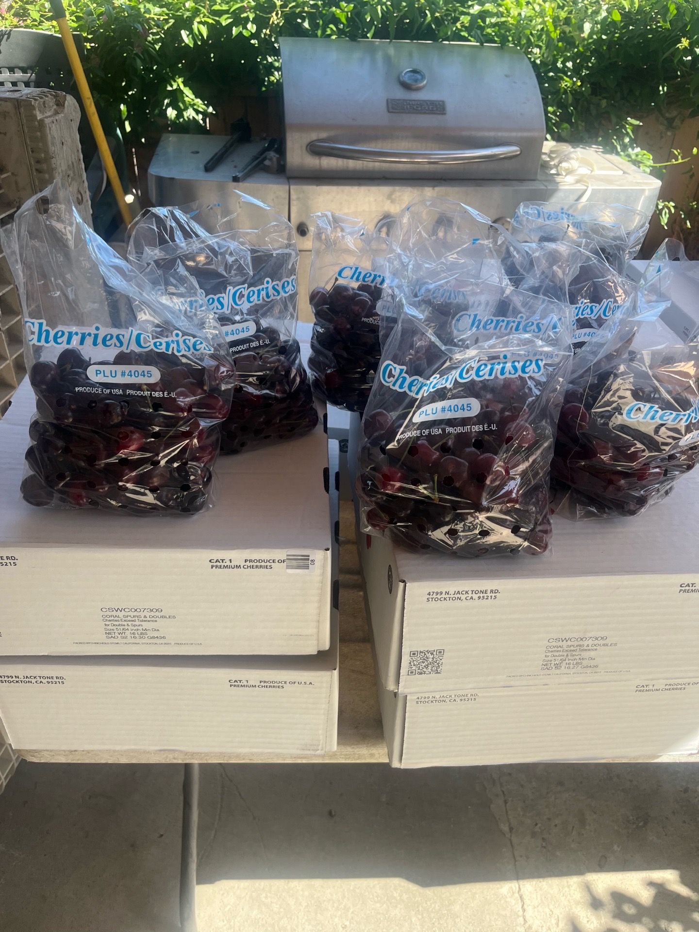 Cherries ๐ only today $3 bag