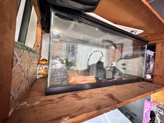 40 gallon reptile tank