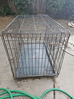 Large dog cage