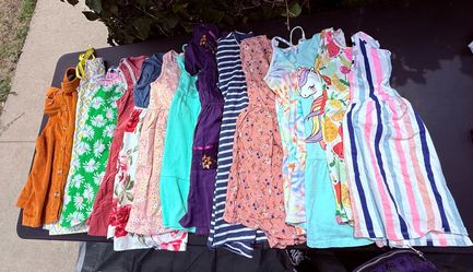 Girl clothes size 7/8