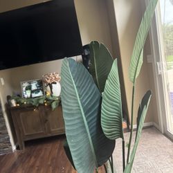 Birds Of Paradise, faux plant