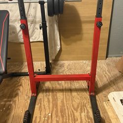 Dip Rack (Olympic Grade)