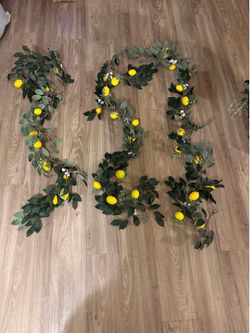 3 lemon vines