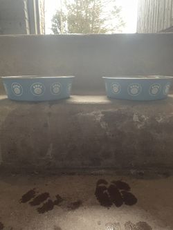 Blue Dog Bowl Pair