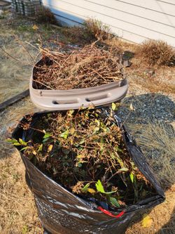 Grass And Yard Waste / Branches 