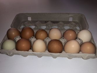 Eggs for sale