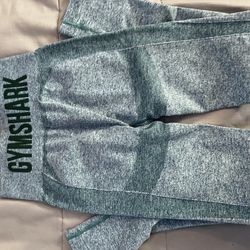 Gym Shark 
