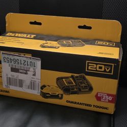 Dewalt 20v 6ah Battery And 6ah Fast Charger Brand New In Factory Sealed Box 