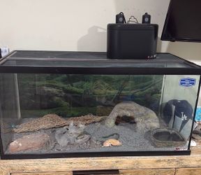 Reptile tank