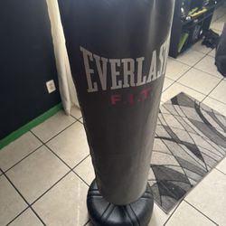 Kicking Bag