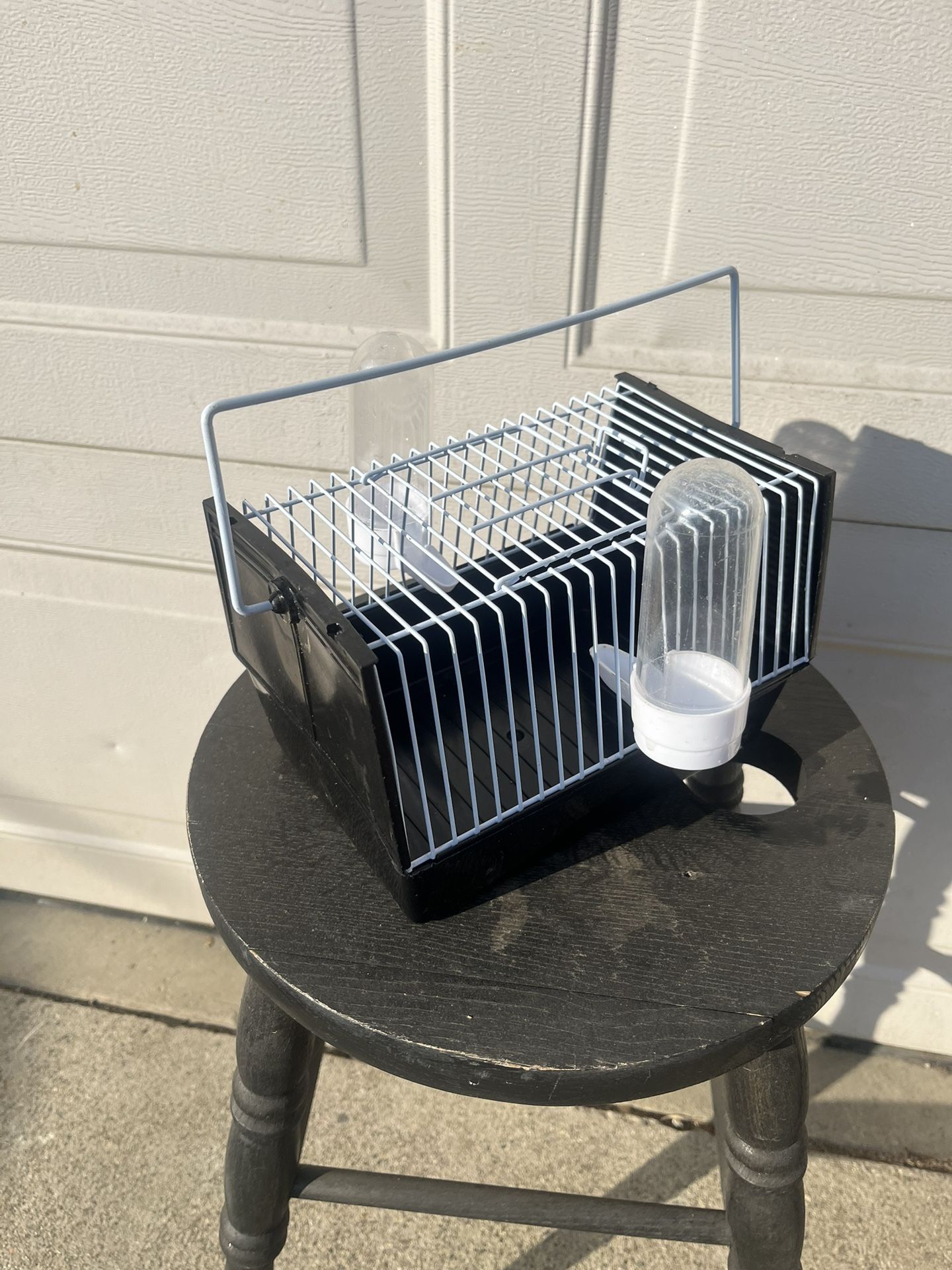 Bird Cage