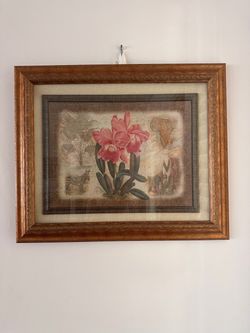 Elegant 24” x 20” Framed Pink Orchid Botanical Art with Real Wood Frame