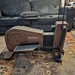 Small  Elliptical 