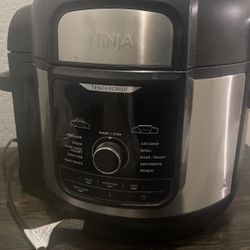 Ninja Air Fryer And Pressure Cooker 