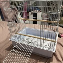 Bird Cage For Small Bird