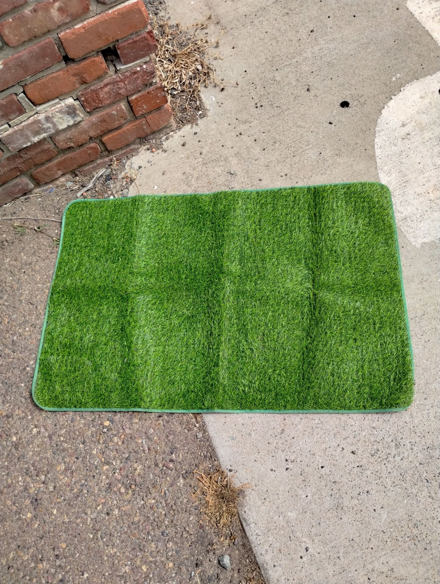 Green Rug