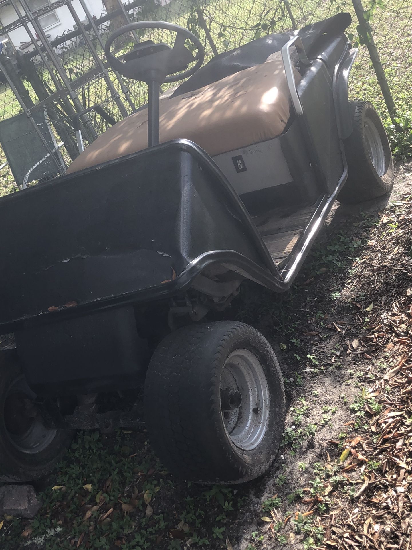 Project gas golf cart