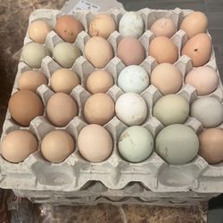 Organic Eggs 🥚