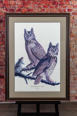 Great Horned Owl - John J. Audubon - Large Framed Print - Delivery Available