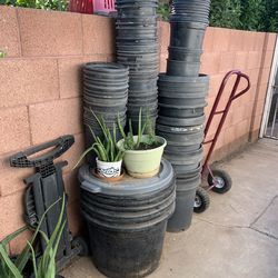 Plastic Containers For plants