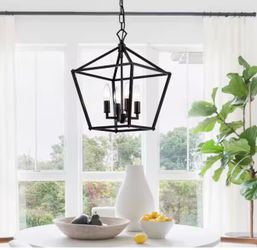 Modern farmhouse style - Matte black caged pendant/chandelier 6 bulbs