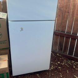 Amanda White Refrigerator