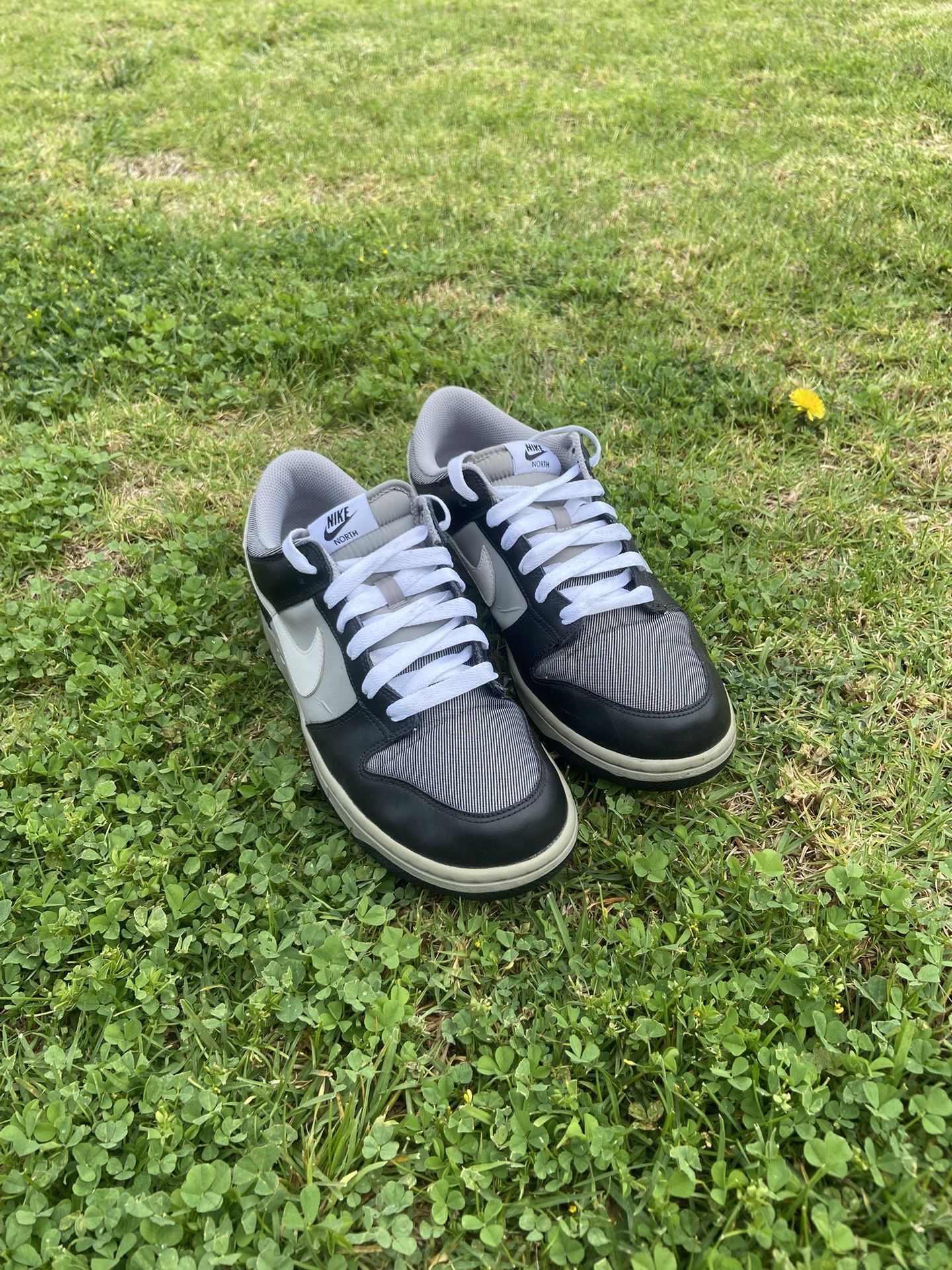 Nike Low North Dunk 2009