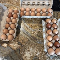 Brown organic eggs
