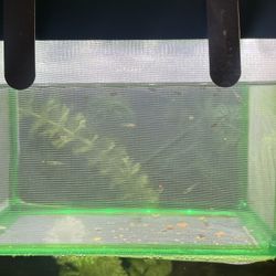 Aquarium supplies 