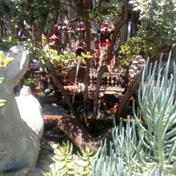 Succulents And Garden And Two Waterfall Fountain Starting Price $20 You Come And Pick Them Out