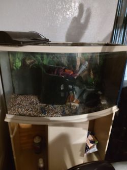 55 gallon fish tank and accessories
