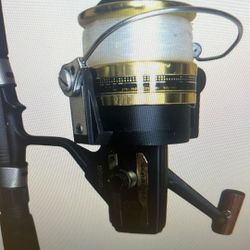 Daiwa  Rod &Reel