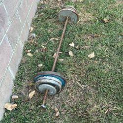 Barbell + 100 Lbs