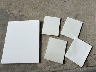 Art  Canvas Brand New 16x20 and 8x10”