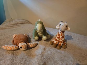 Stuffed Animals