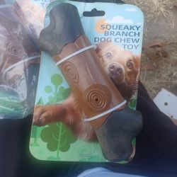 Squeaky Dog Toy