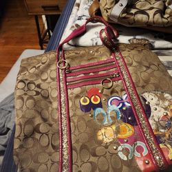 Bolsa
