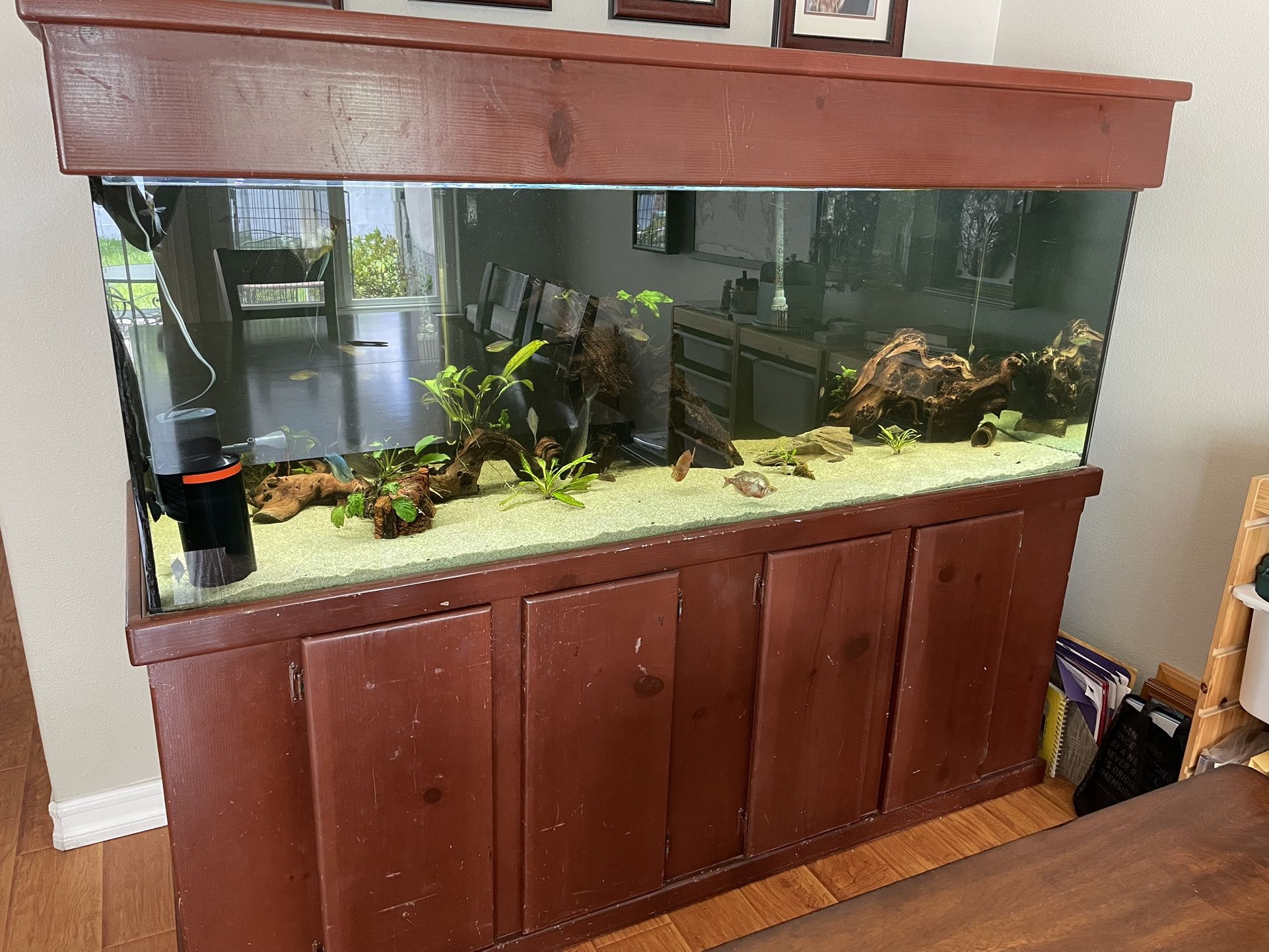 180 Gallon Aquarium With Stand And Accessories (fish Not Included)