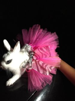 Tutus