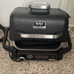 Ninja wildfire grill