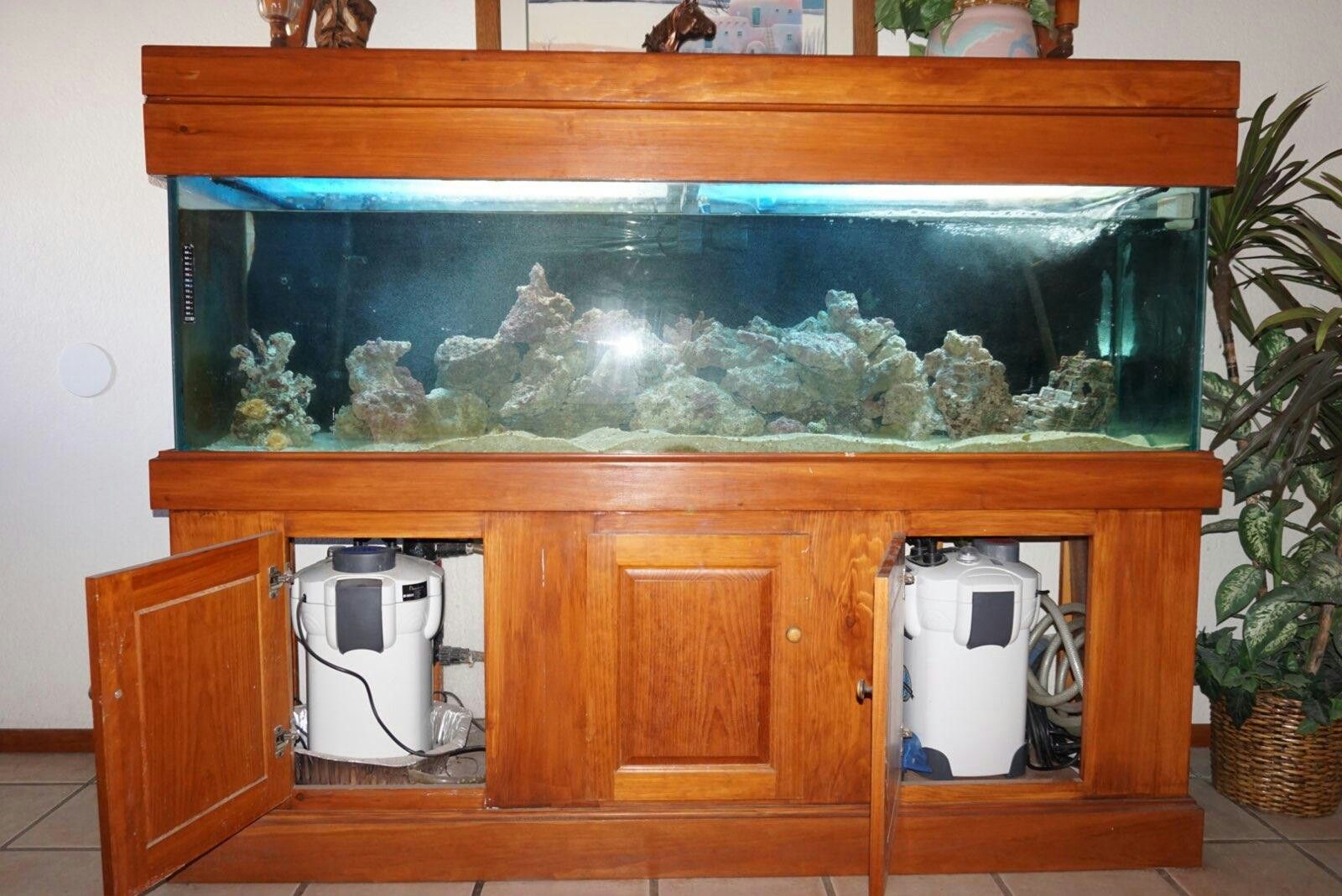 Salt water aquarium