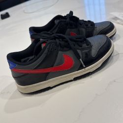 Nike Dunks 5Y