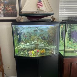 40 Gallons Aquarium Bowl Front, Only 5 Months Old, Like New.