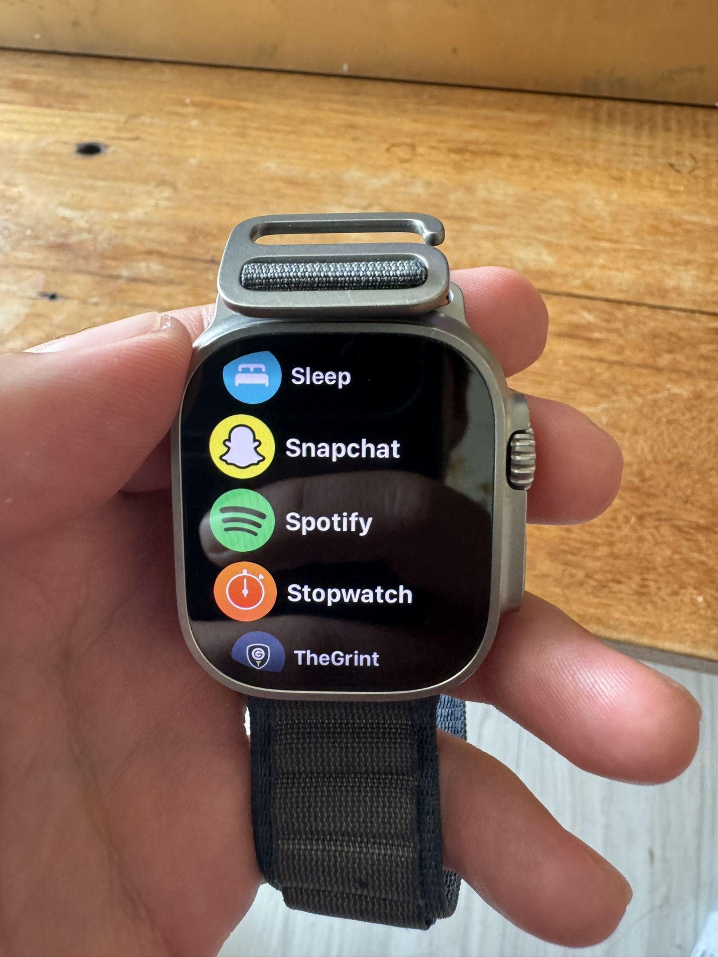 Apple Watch Ultra 2 (49mm) - Titanium / Platinum Case with Alpine Loop - Like New