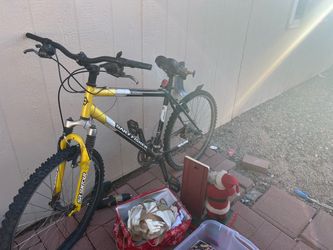 Gary fisher bike
